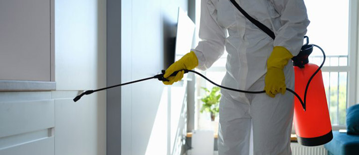 exterminator